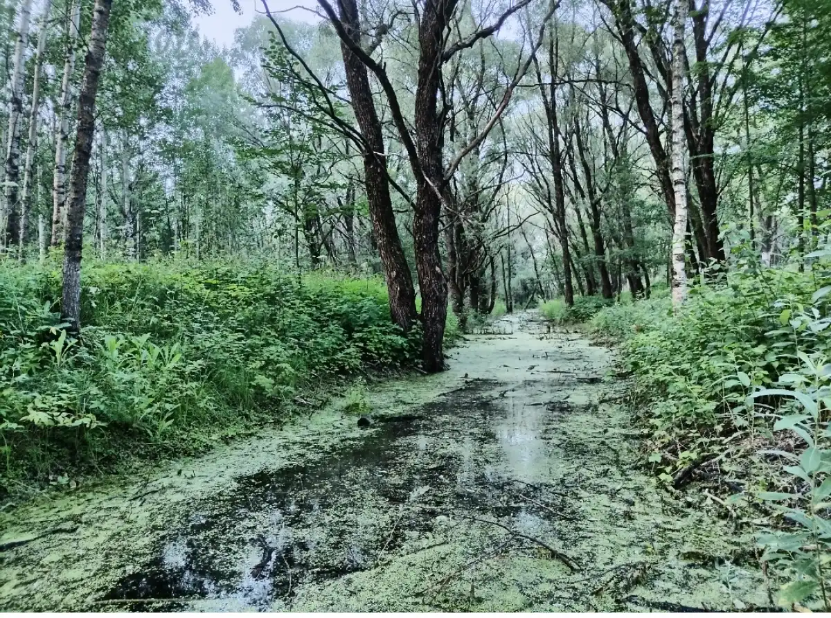Андрей Устинов призвал грибников соблюдать меры безопасности при походе в лес.