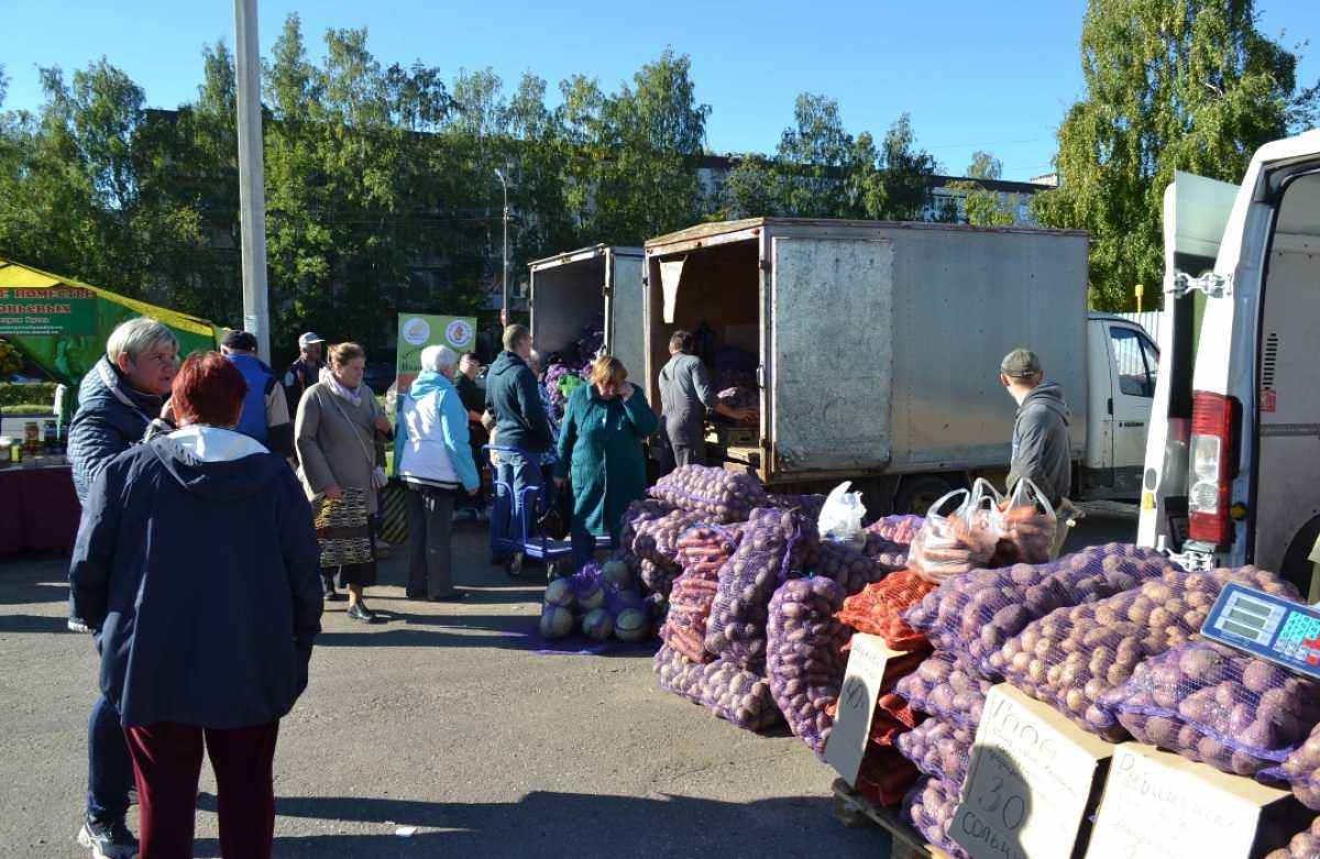 Завершат осенний марафон ярмарок урожая 29 сентября аграрии Шимского и Крестецкого округов.