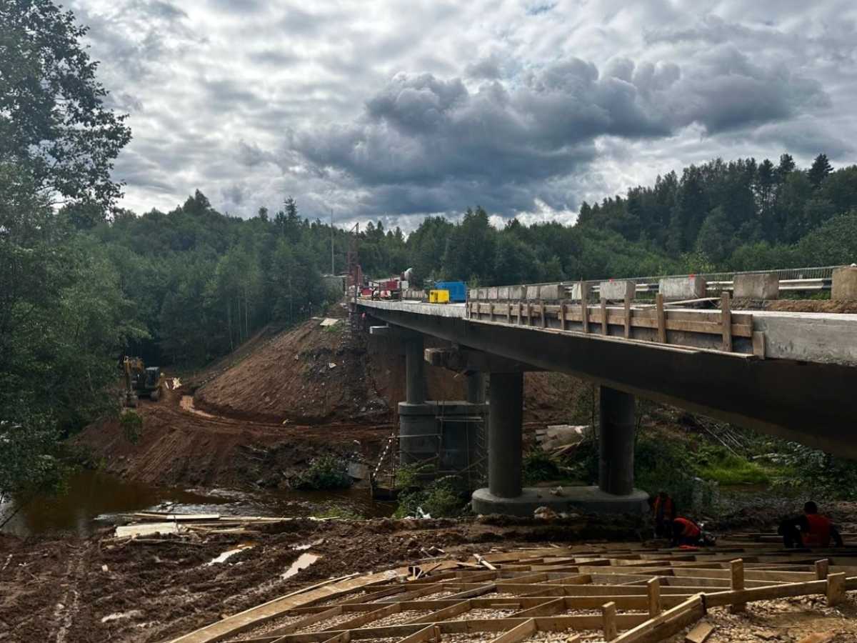 Сейчас техническая готовность моста составляет 30%.