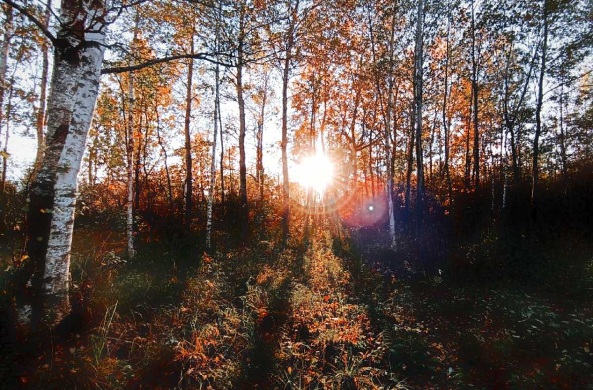 Главное управление МЧС России по Новгородской области призывает всех соблюдать меры безопасности при