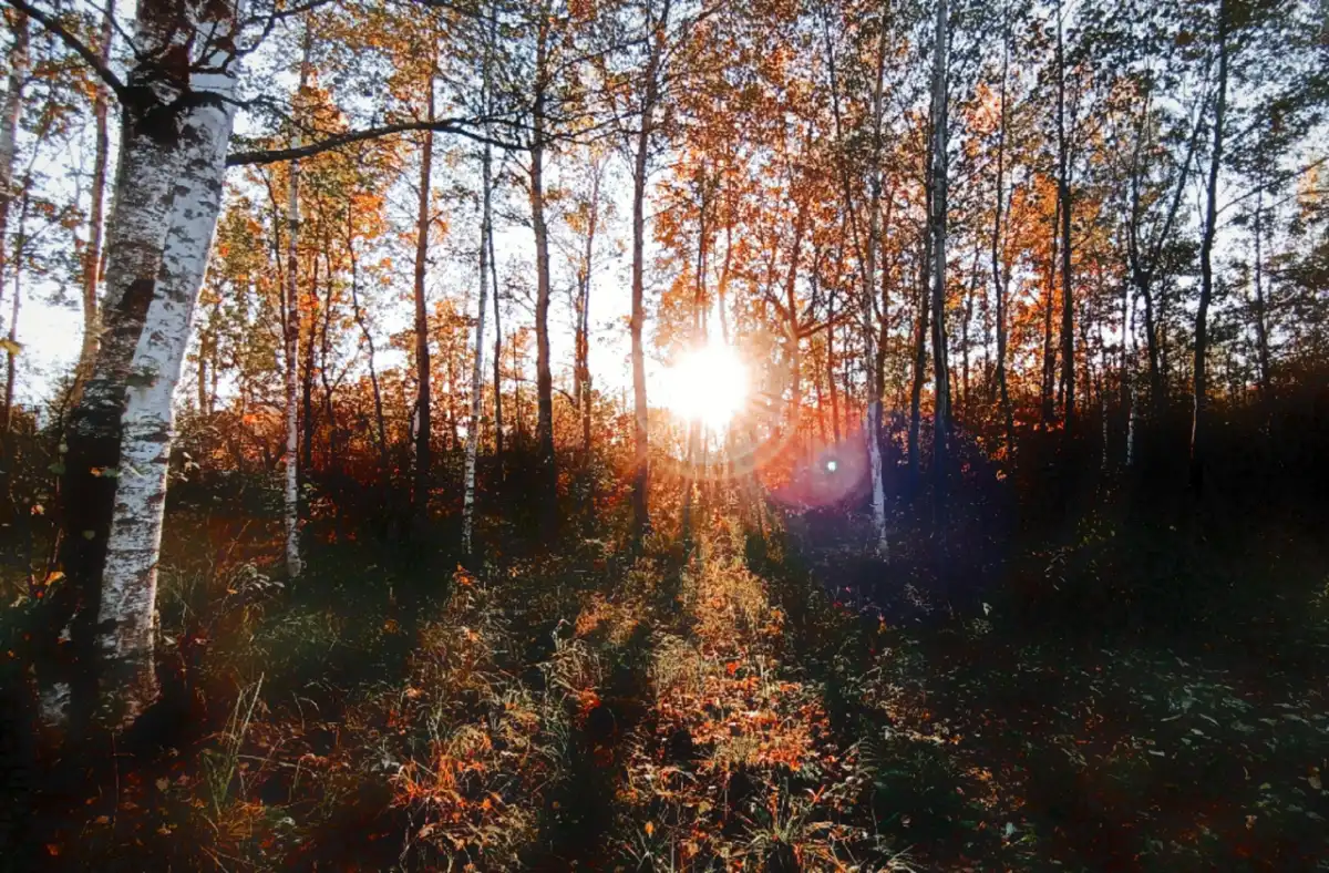 Главное управление МЧС России по Новгородской области призывает всех соблюдать меры безопасности при