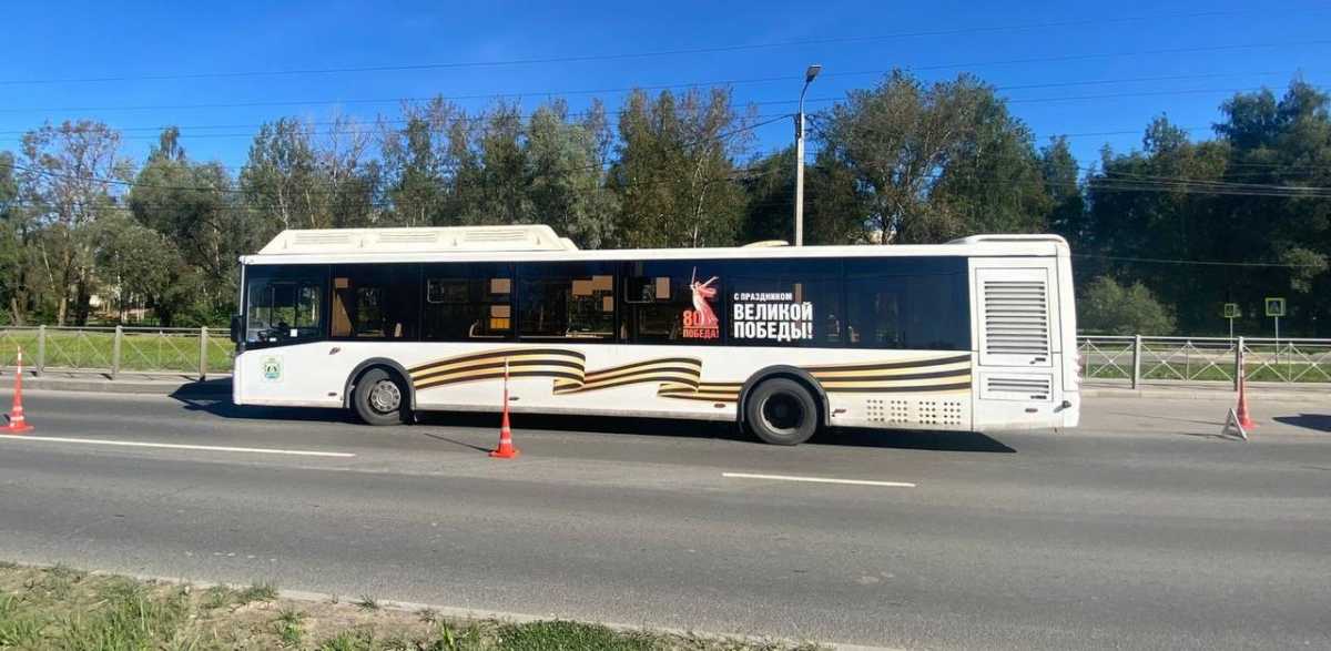 Водитель автобуса резко затормозил.