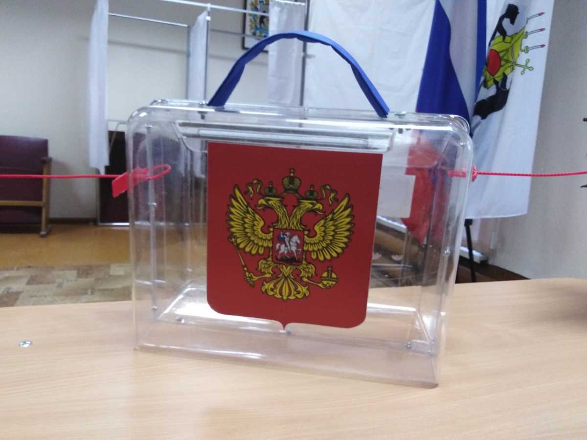 В Новгородской области 12-14 сентября пройдут досрочные выборы губернатора и муниципальные избирател