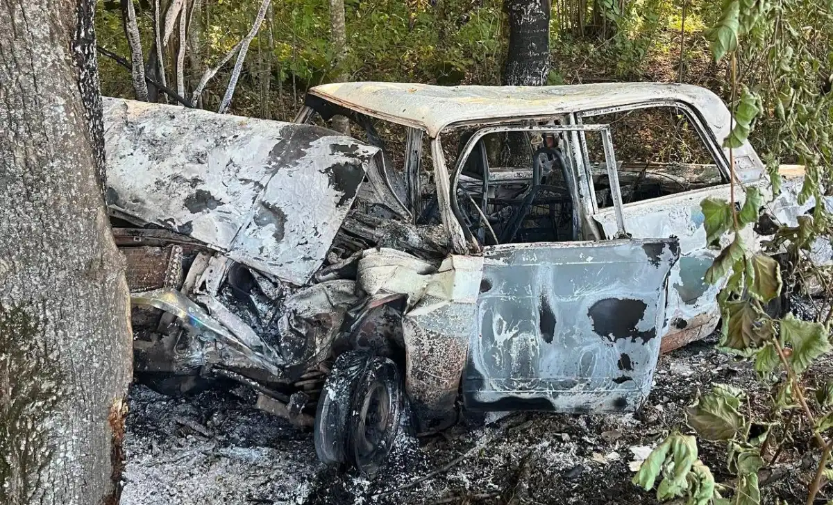Водителя доставили в больницу в Валдае.