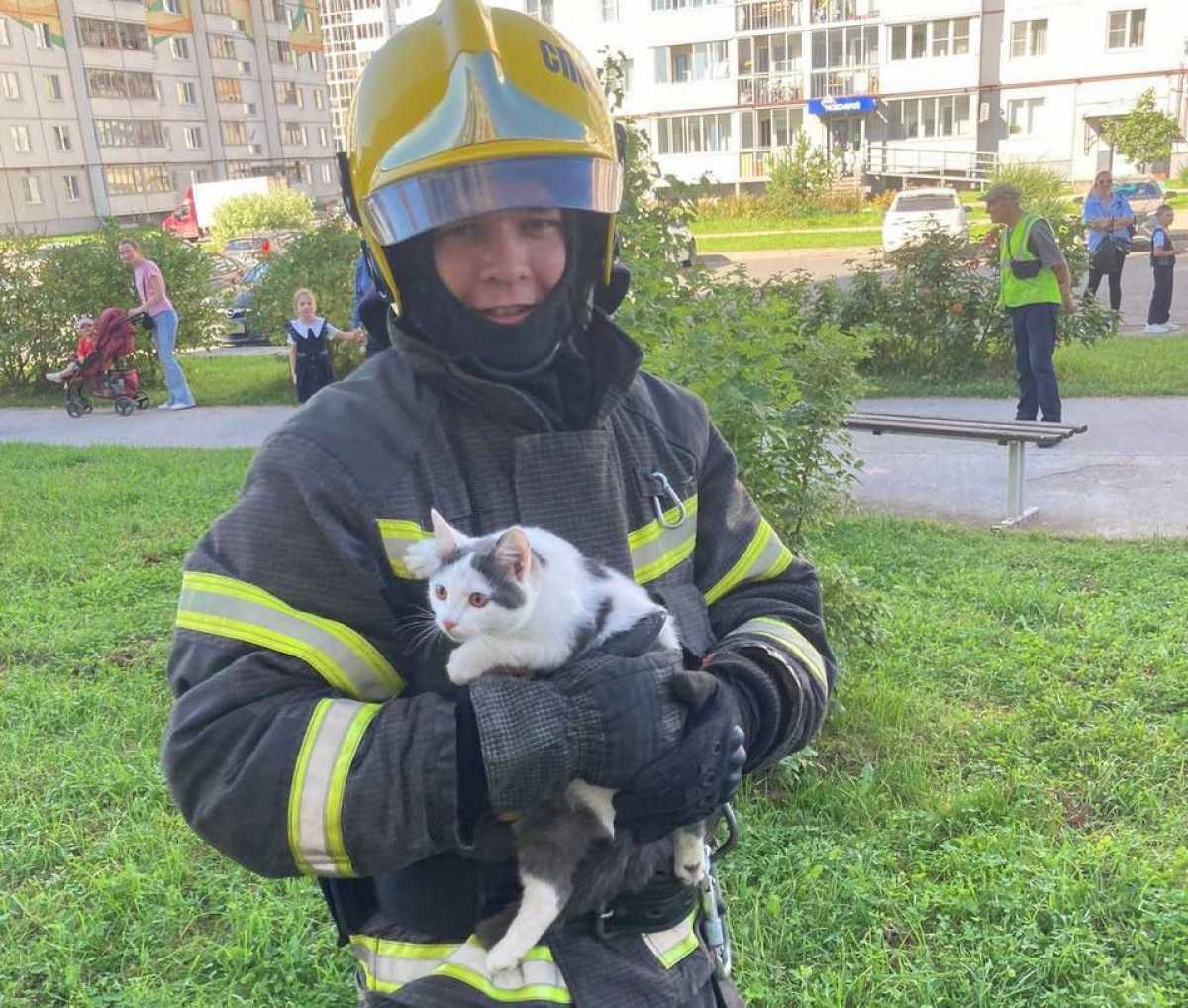 В областном управлении МЧС напомнили, что открытые окна опасны и для домашних питомцев, и для детей.