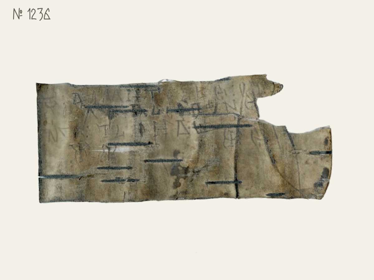 В текущем археологическом сезоне на Троицком 16-м раскопе нашли четыре берестяные грамоты.