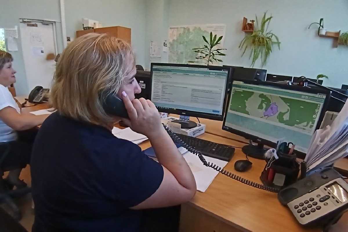 Горячая линия пройдёт 11 сентября с 10.00 до 12.00.