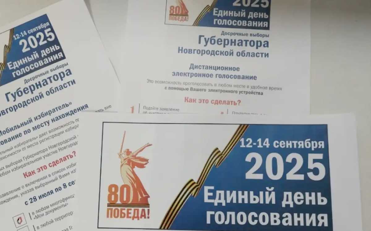 Первый раз дистанционное электронное голосование в Новгородской области применили на выборах губерна