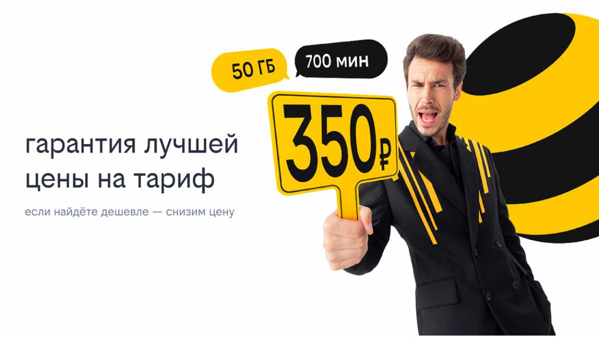 Оптимальный тариф за лучшую стоимость: Билайн запустил акцию для жителей Великого Новгорода с гарант
