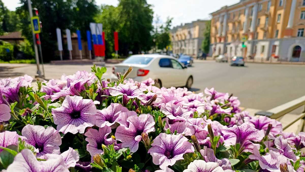 Автомобилистов Великого Новгорода просят быть внимательными.