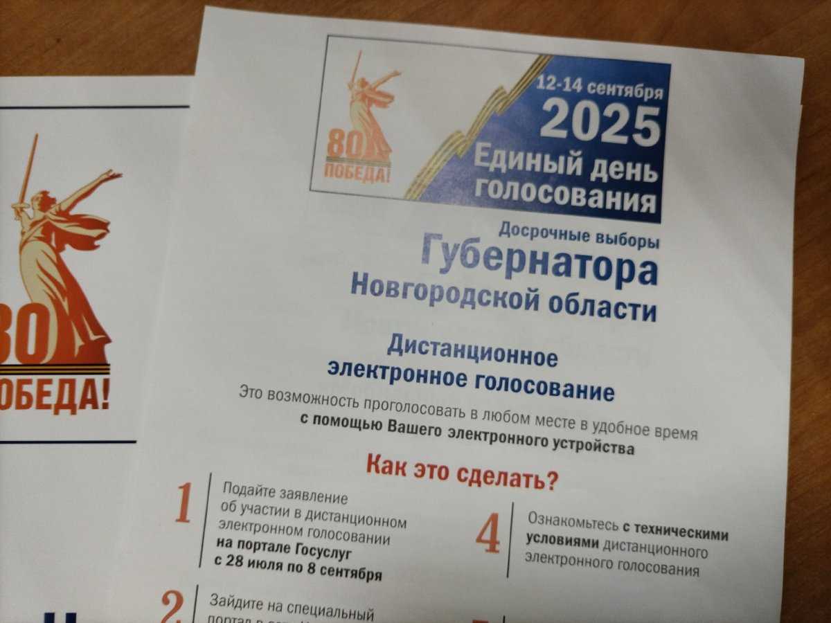 С 12 по 14 сентября в Новгородской области пройдут 15 муниципальных избирательных кампаний и досрочн