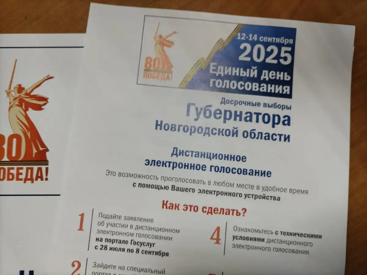 С 12 по 14 сентября в Новгородской области пройдут 15 муниципальных избирательных кампаний и досрочн