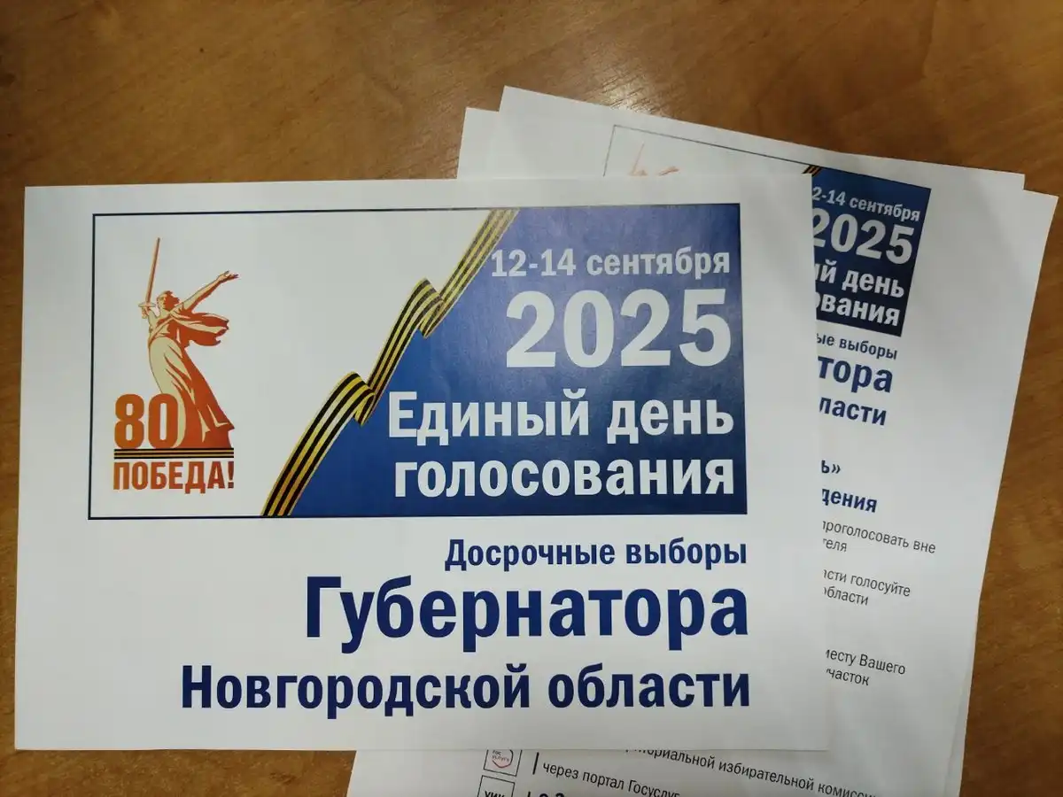 Явка на ДЭГ в Новгородской области соответствует среднероссийскому уровню в 51,01%.