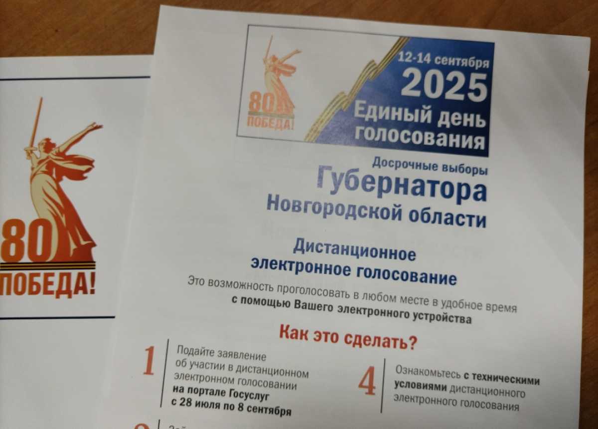 Дистанционное электронное голосование продлится до 20.00 14 сентября.