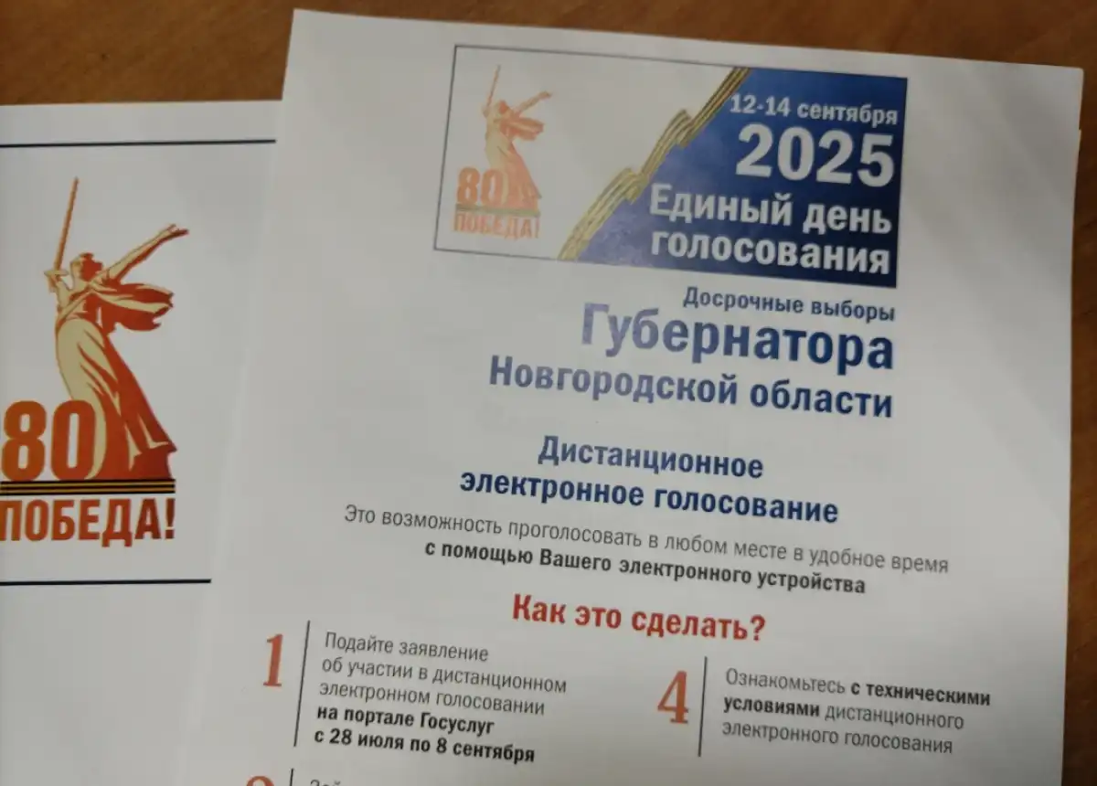 Дистанционное электронное голосование продлится до 20.00 14 сентября.