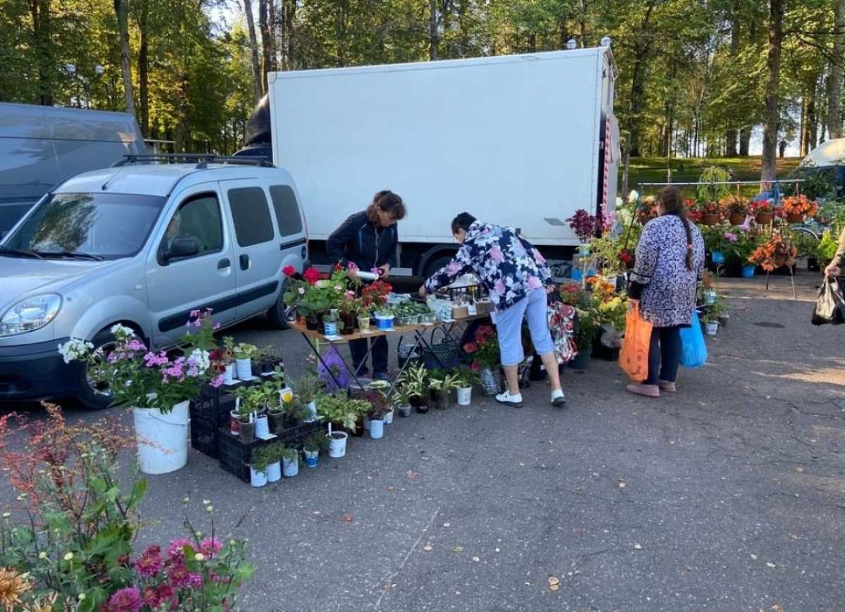 Гости ярмарок смогут приобрести натуральную продукцию, необходимый садовый инвентарь.