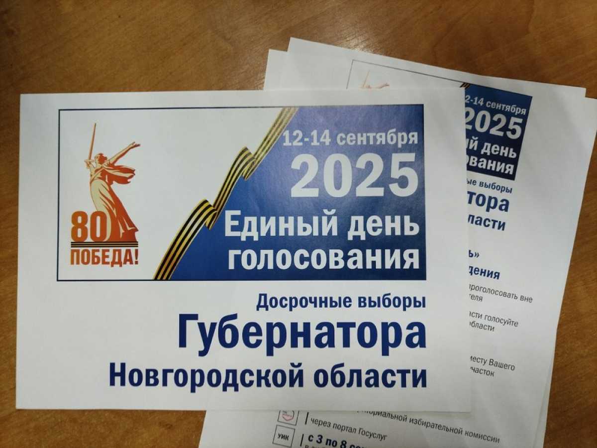 Всего в ходе выборов заявки на голосование онлайн направили 20 740 человек.