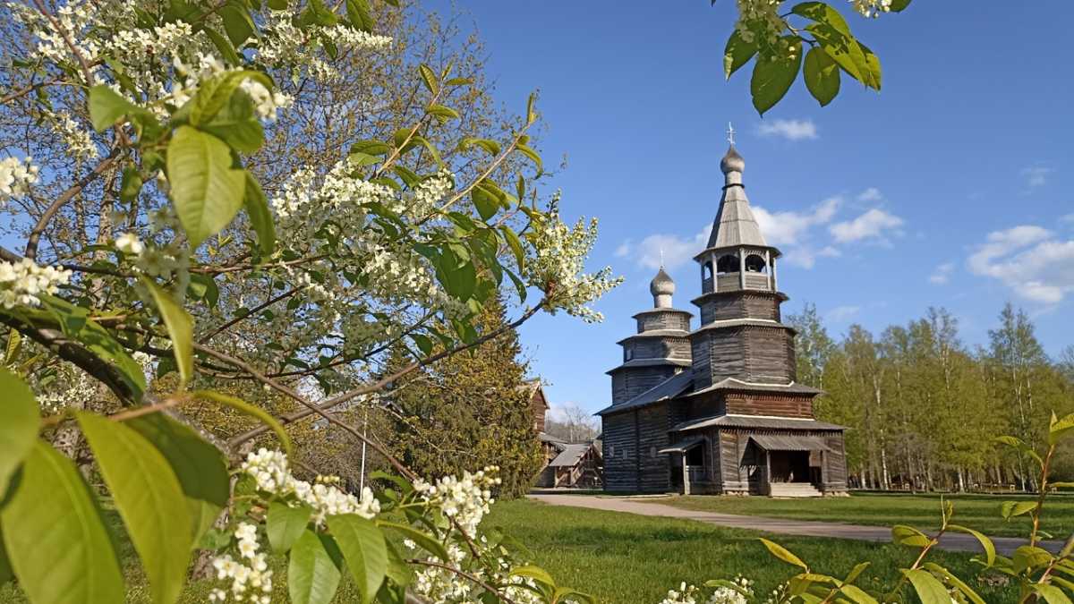 Музей намерен пригласить на демонстрационные экскурсии семейную аудиторию.