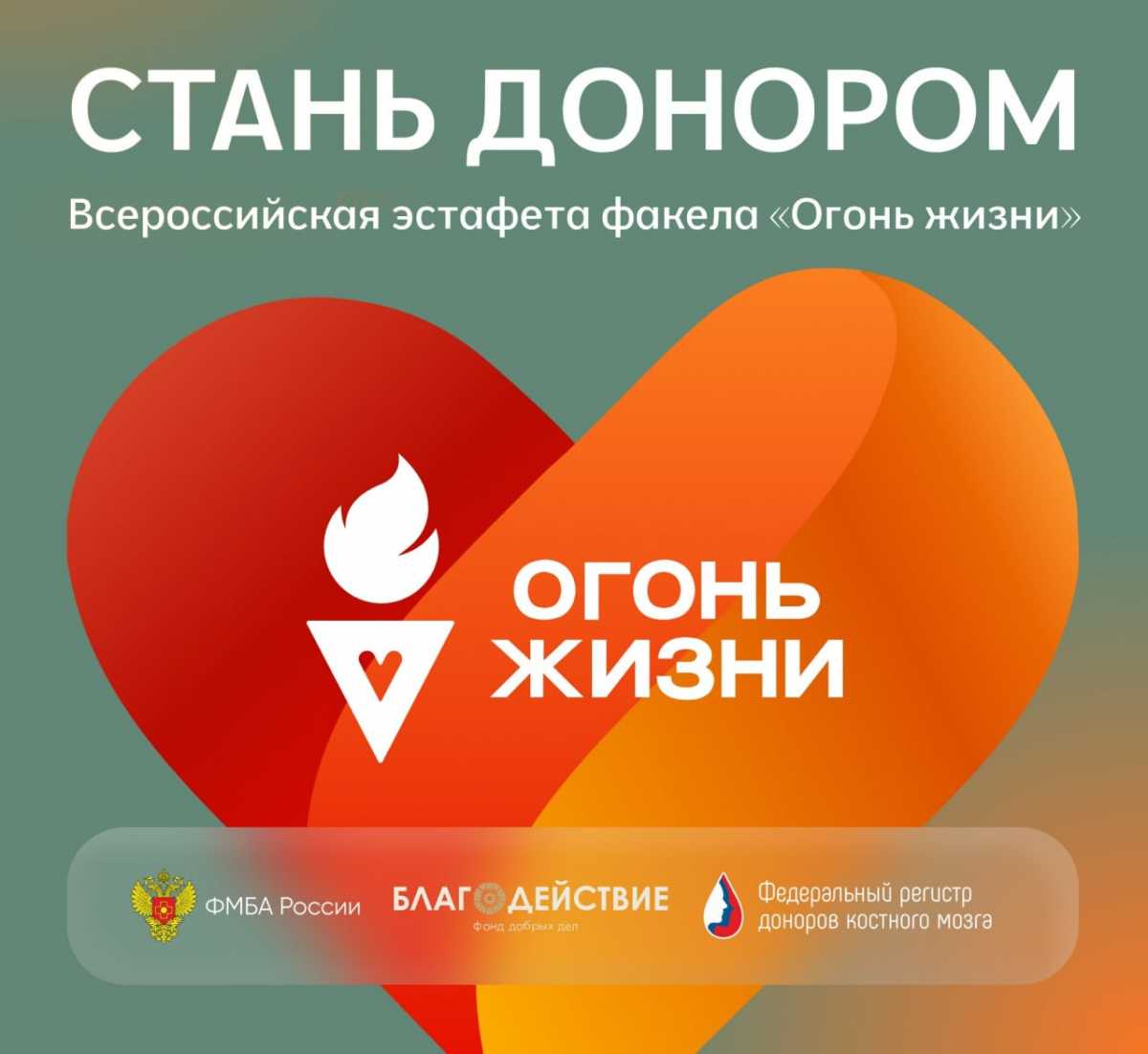 Вступить в Федеральный регистр доноров костного мозга можно будет в рамках донорской акции.