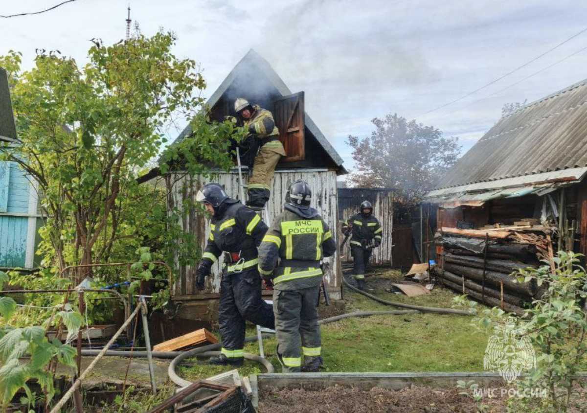 Причину пожара устанавливают органы дознания.