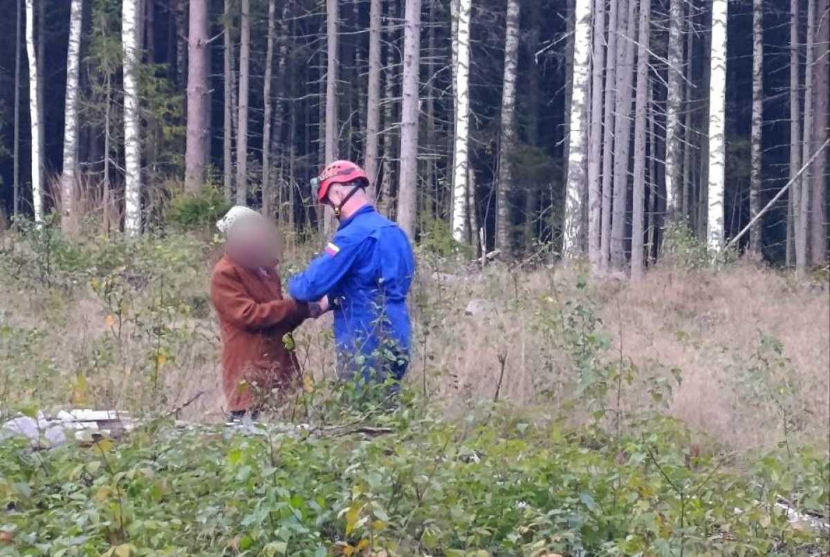 С начала лета в новгородских лесах потерялись 186 человек.