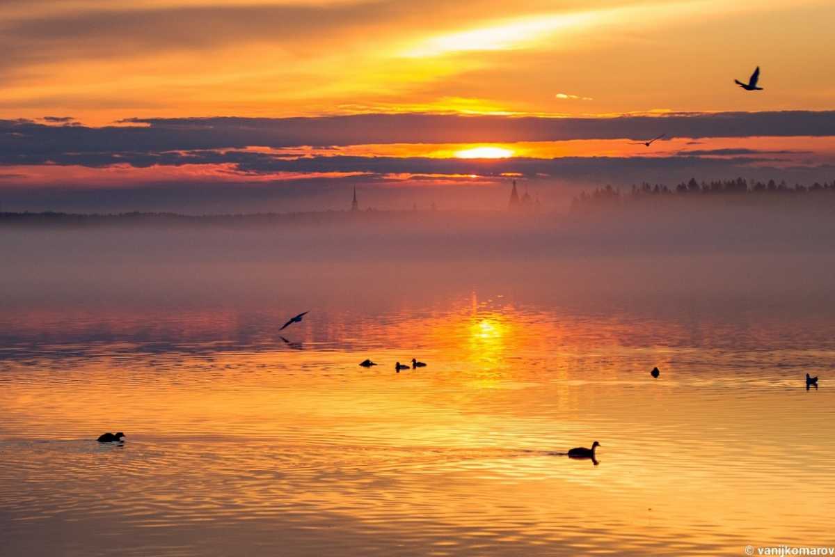 Правительство РФ выделило свыше 115 млн рублей на расчистку акватории Валдайского озера