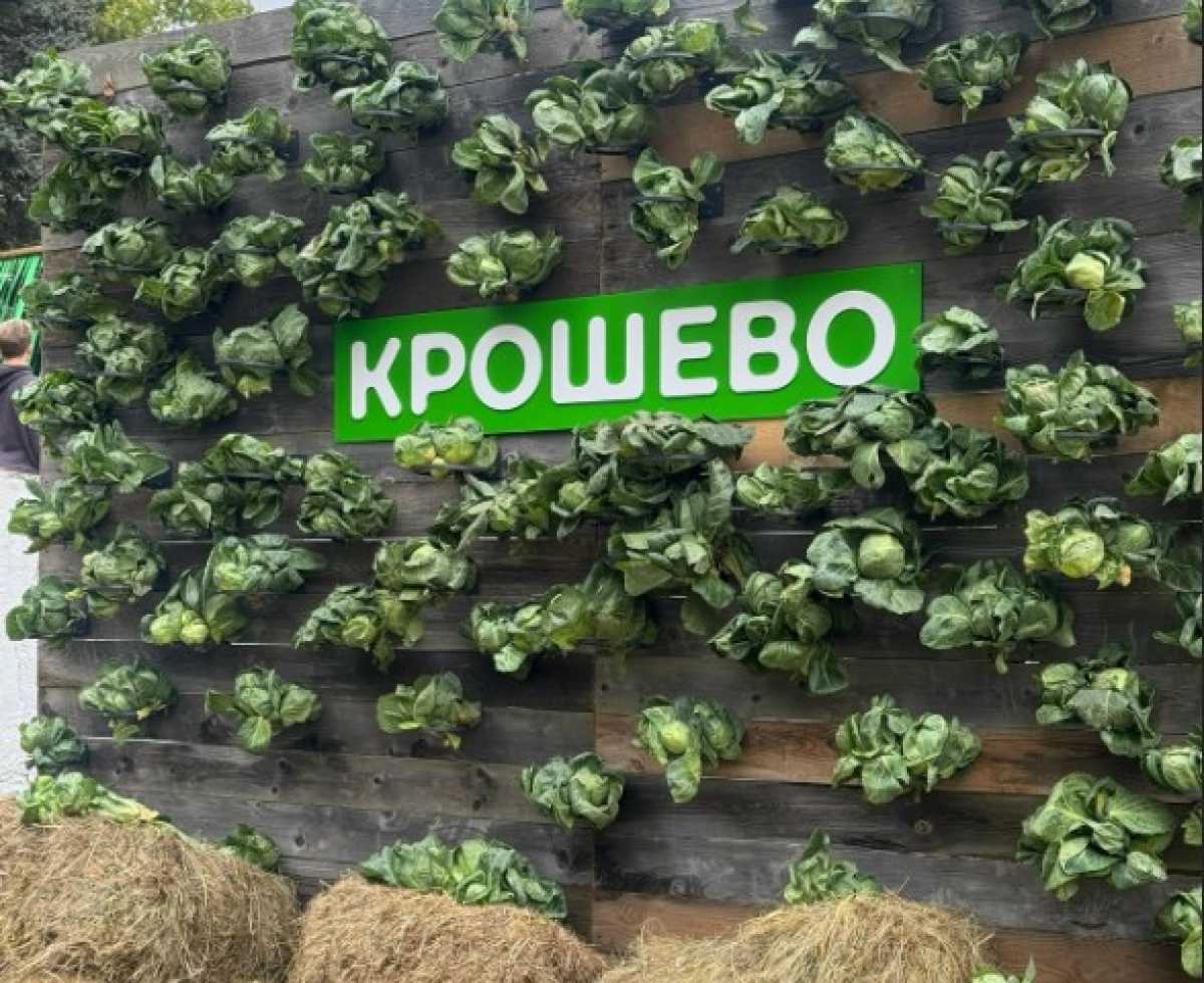 Боровичи стали огромной площадкой для улыбок, счастливых встреч, новых знакомств и ярких впечатлений