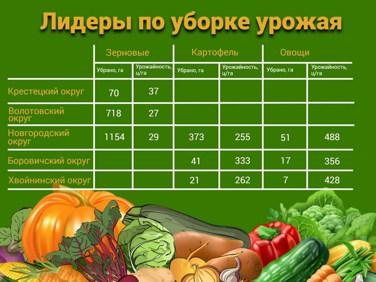 Данные минсельхоза региона на 19 сентября.