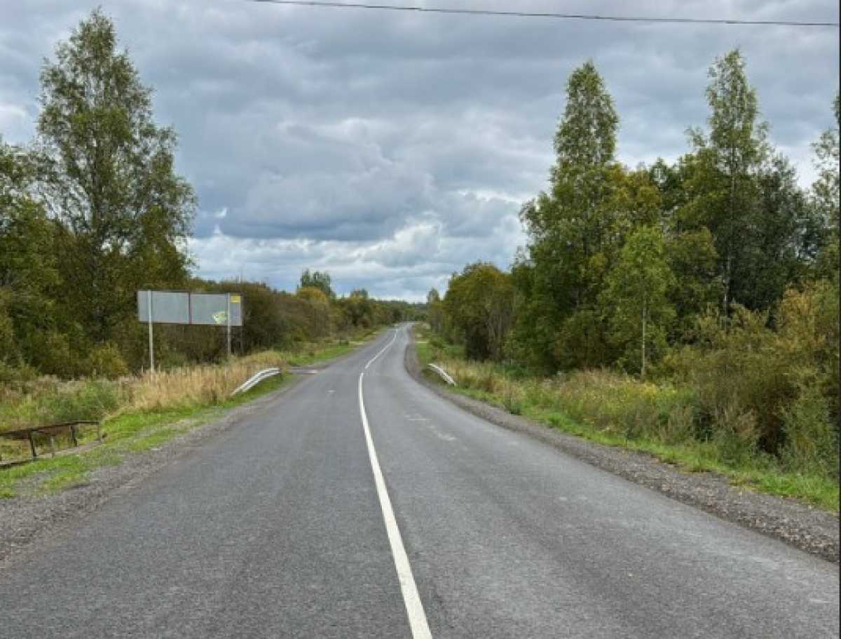 Дорога ведёт к загородному клубу «Любытино Хутор» и глэмпингу «Видомлицы».