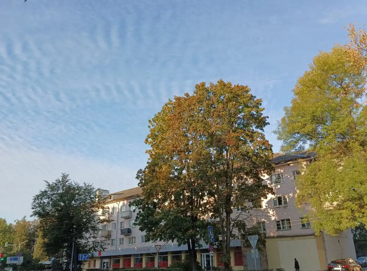 Уже с 3 октября новгородцев ждут небольшие дожди.