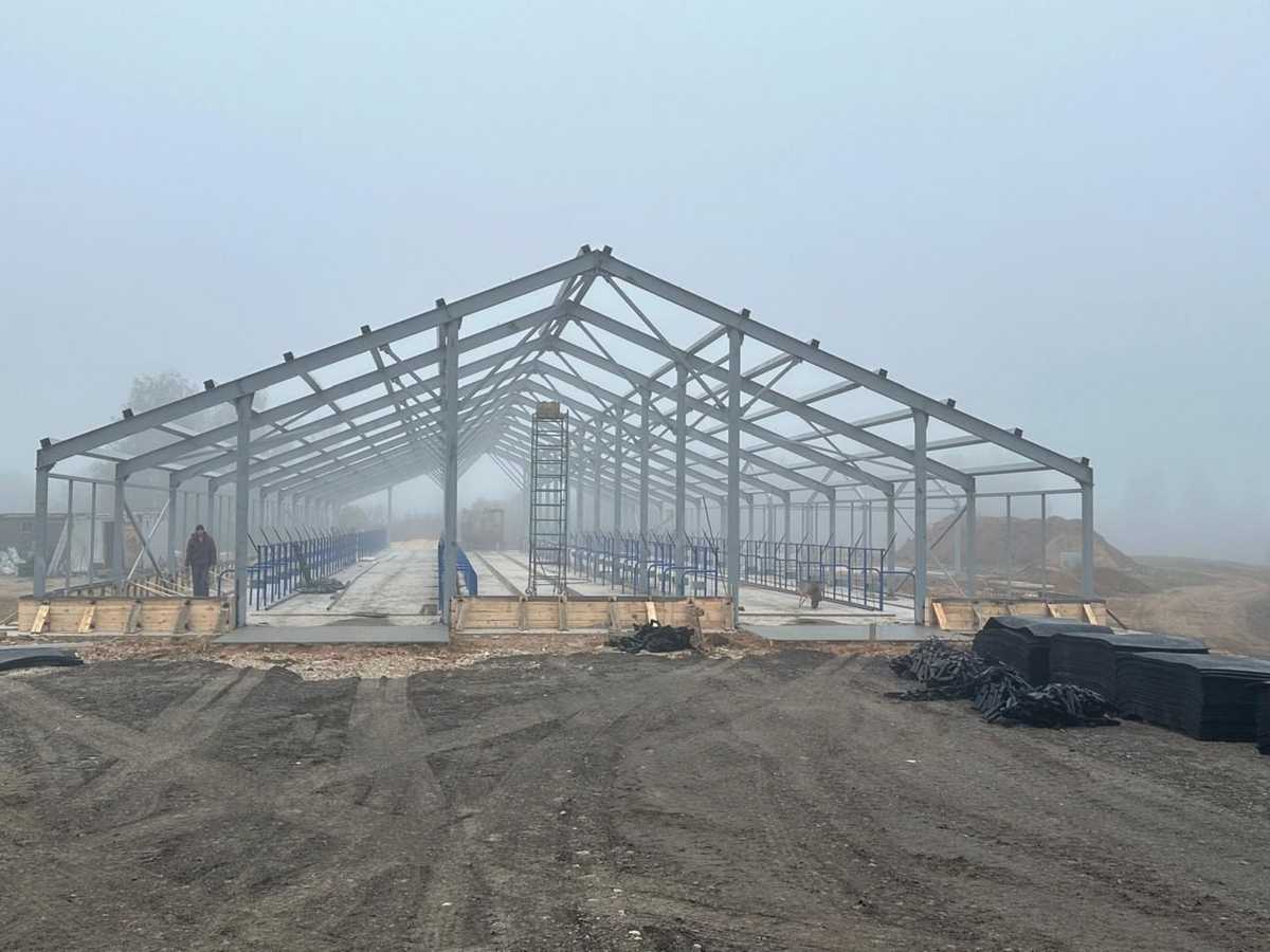 По словам фермера, запас кормов на зимовку животных уже создан.