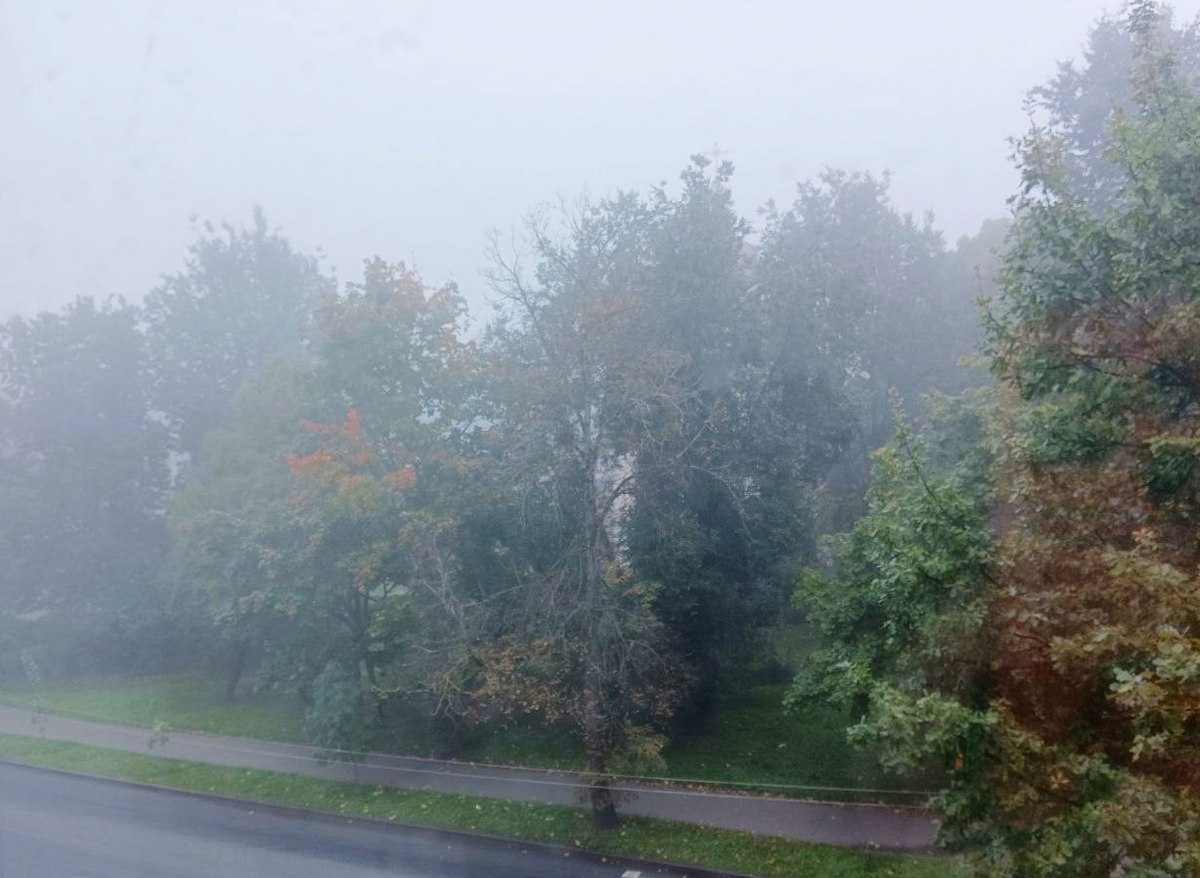 Туман ожидается в ночные и утренние часы.