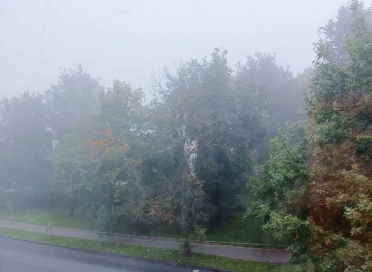 Туман ожидается в ночные и утренние часы.