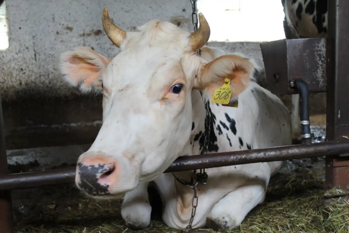 Лидеров определили по итогам девяти месяцев.