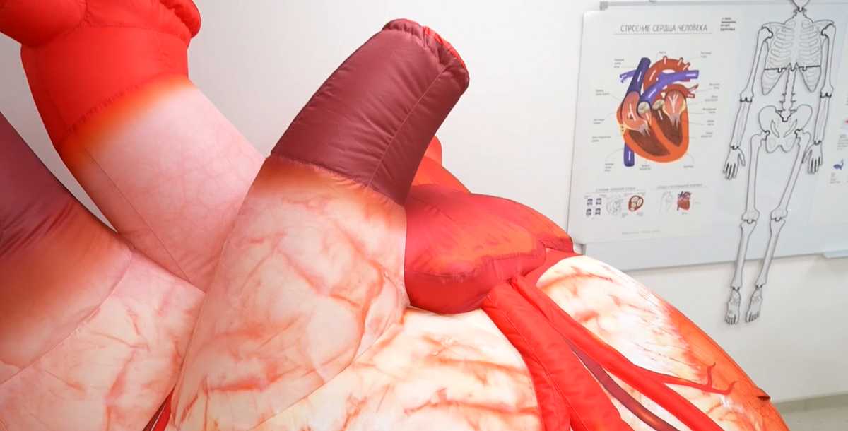 В Великом Новгороде открылся первый интерактивный музей здоровья