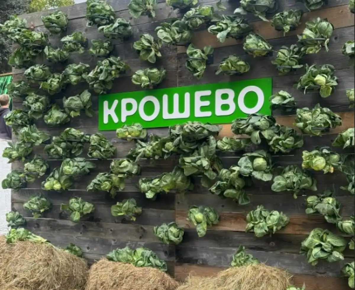 В 2025 году в фестивале «Крошево» приняли участие на 6 тысяч человек больше, чем в прошлом.