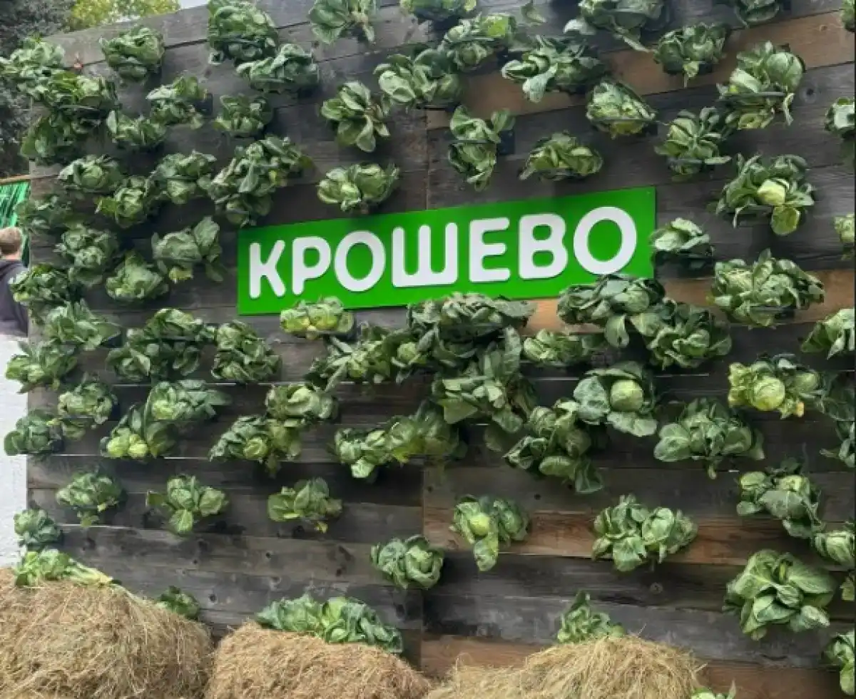 В 2025 году в фестивале «Крошево» приняли участие на 6 тысяч человек больше, чем в прошлом.