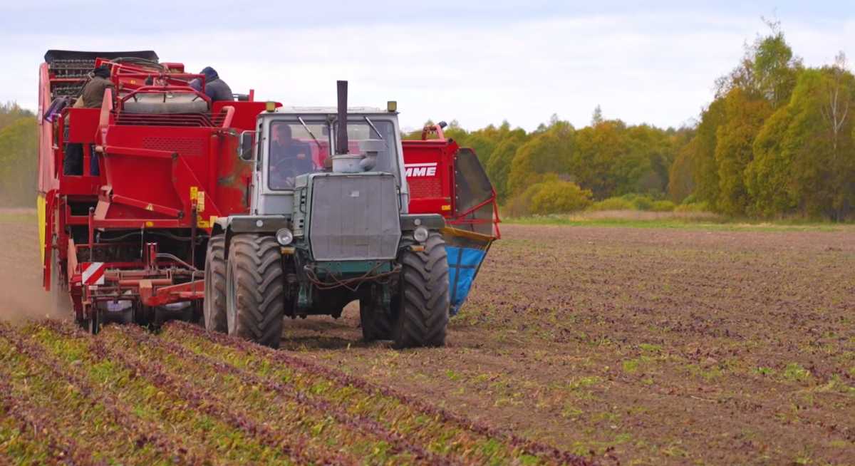 Александр Дронов поздравил аграриев Новгородской области с профессиональным праздником