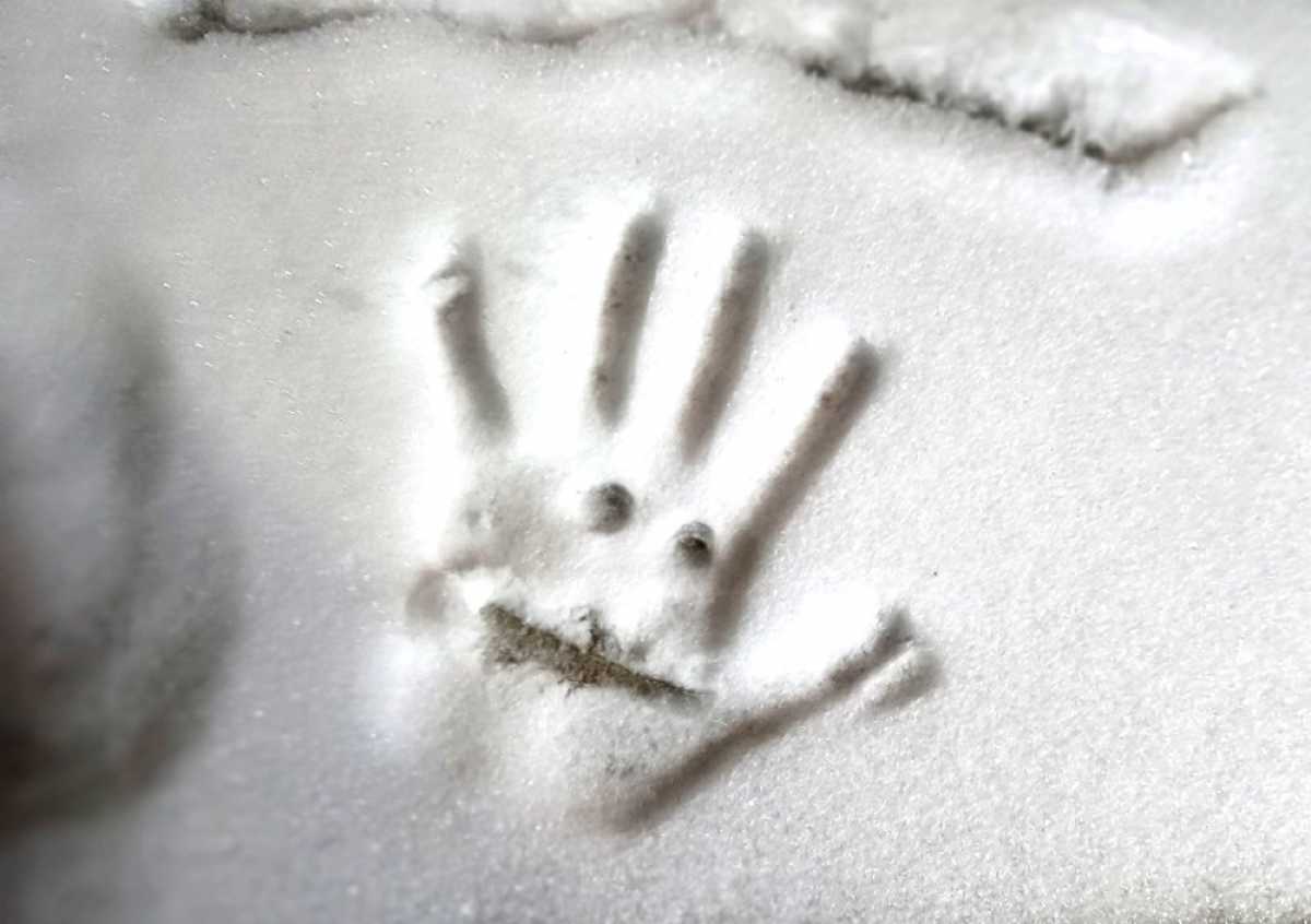 14 октября днём возможны осадки в виде дождя, в отдельных районах области с мокрым снегом.