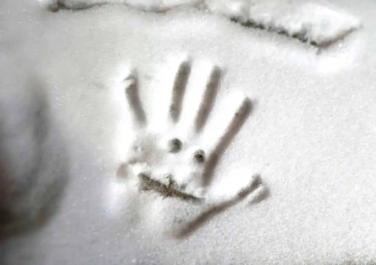 14 октября днём возможны осадки в виде дождя, в отдельных районах области с мокрым снегом.