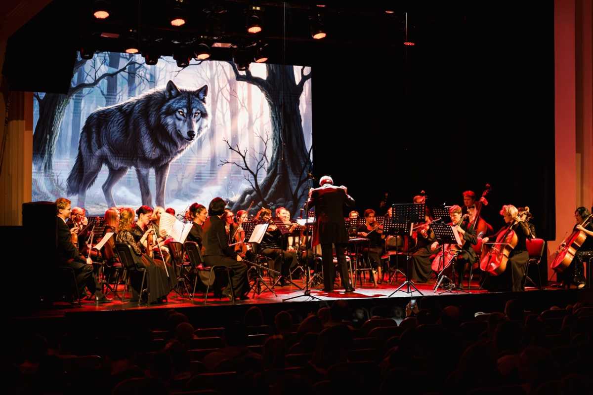 Концерт прошёл при поддержке программы «Пушкинская карта» и собрал полный зал.