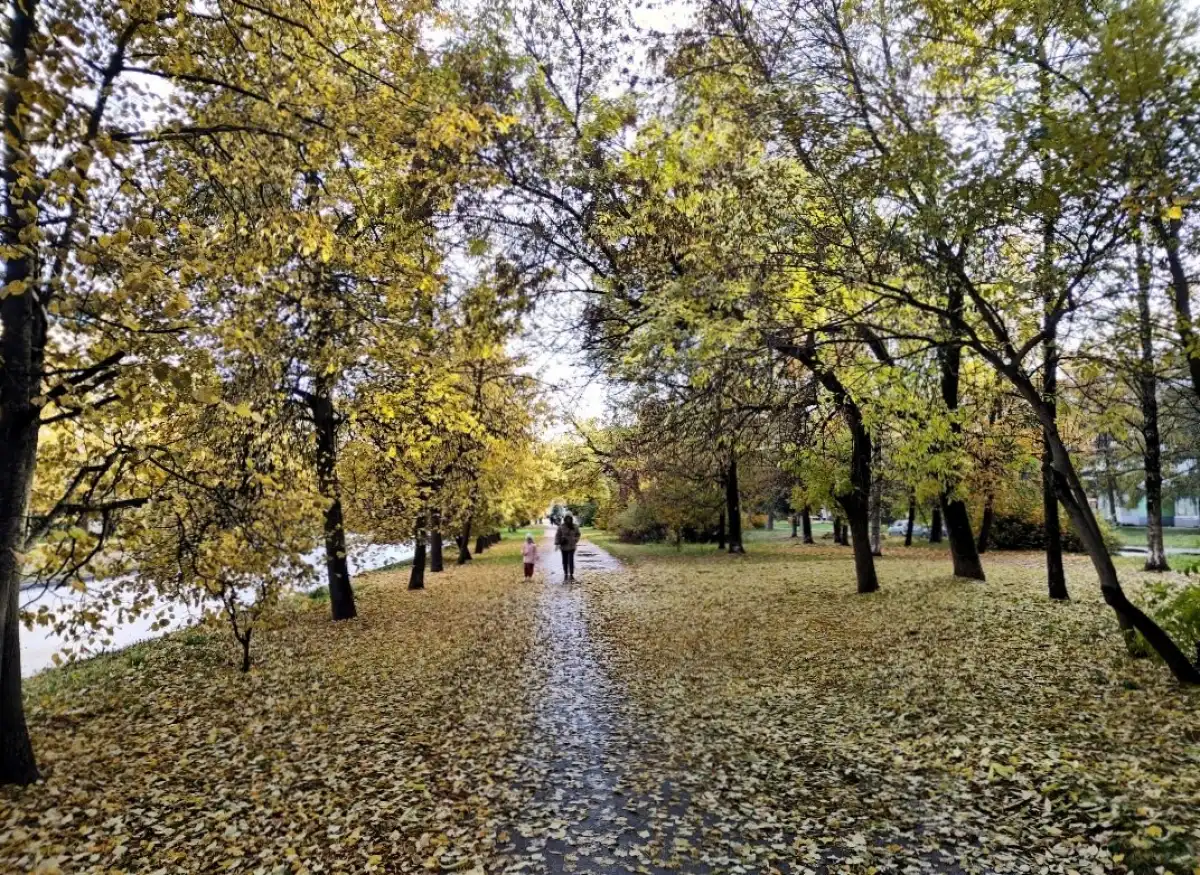 16 октября днём в большинстве муниципалитетов пройдут небольшие дожди.