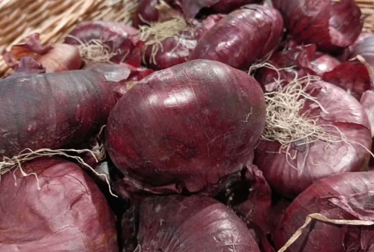 Лук в Новгородской области подешевел на 16%.