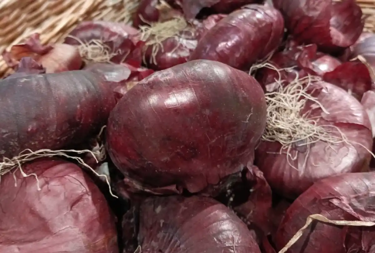 Лук в Новгородской области подешевел на 16%.