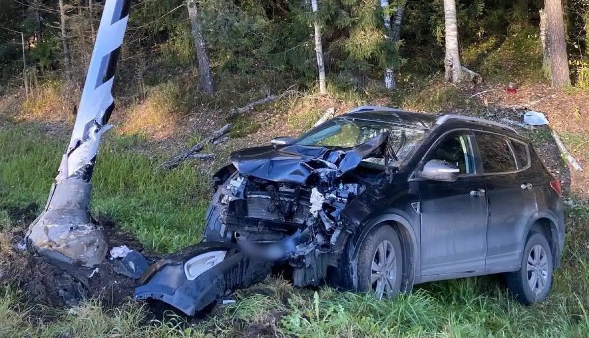 Пассажирка машины получила ушиб грудной клетки.