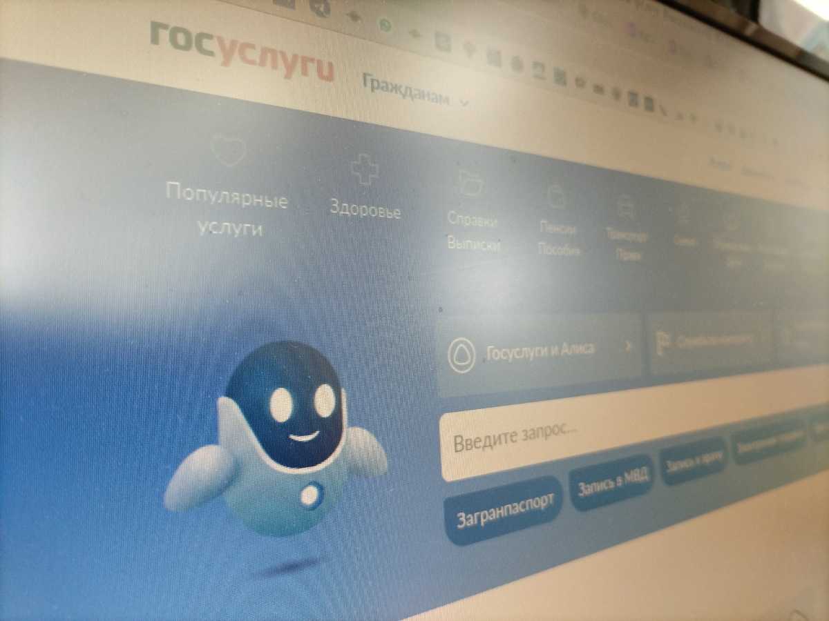 Более двух миллионов россиян воспользовались сервисом «Защита от мошенников» на «Госуслугах»