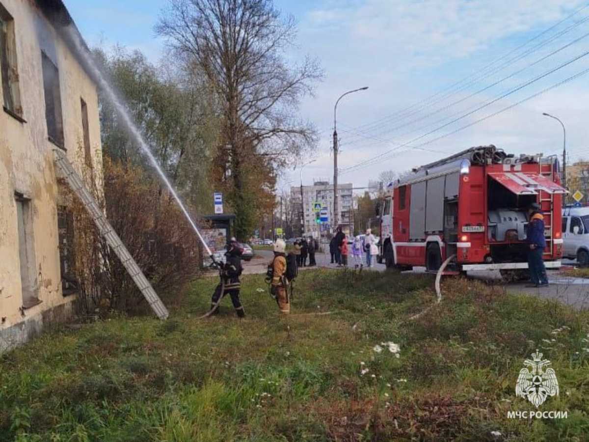 Причину пожара устанавливают органы дознания.