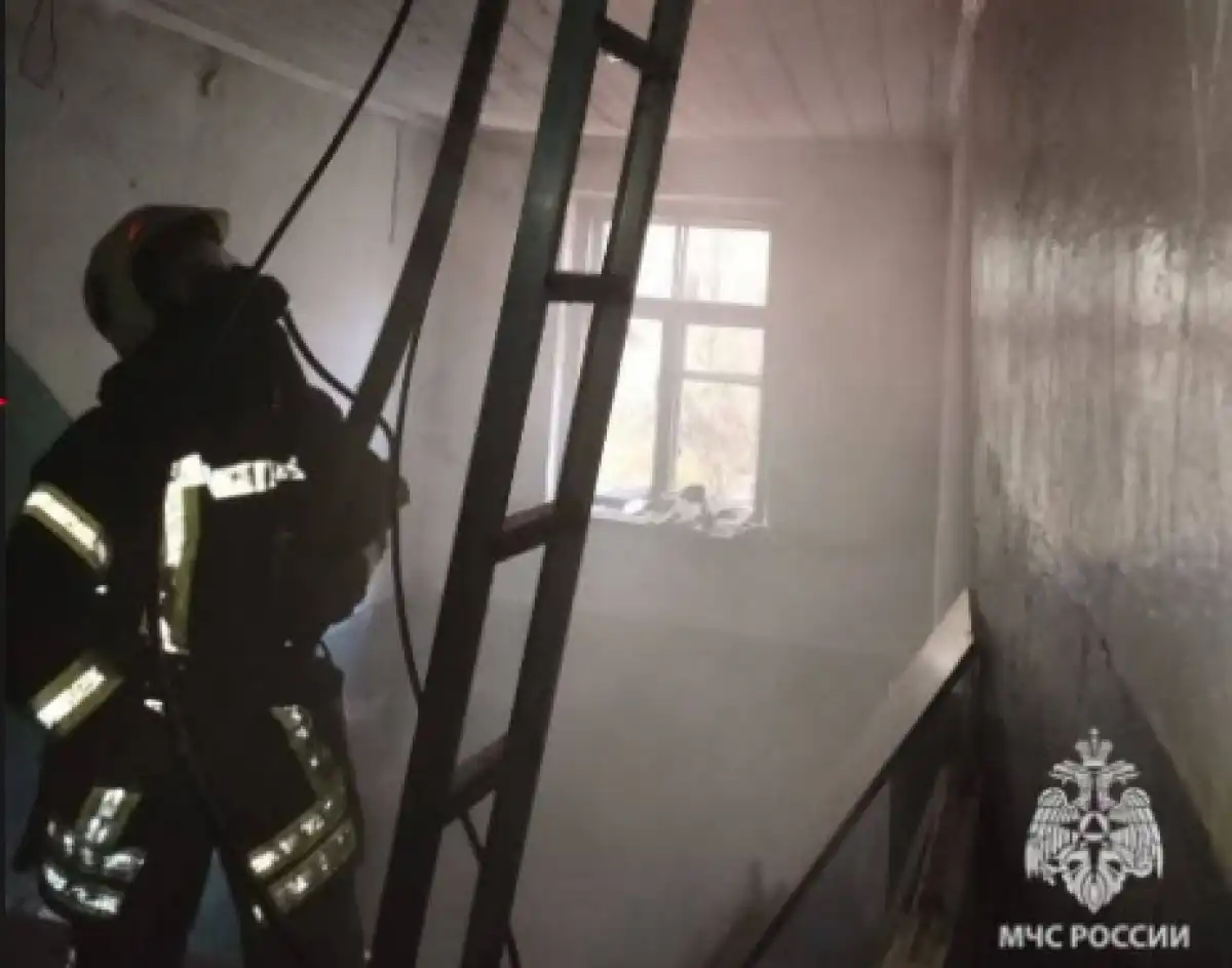 Причины пожаров устанавливают органы дознания.