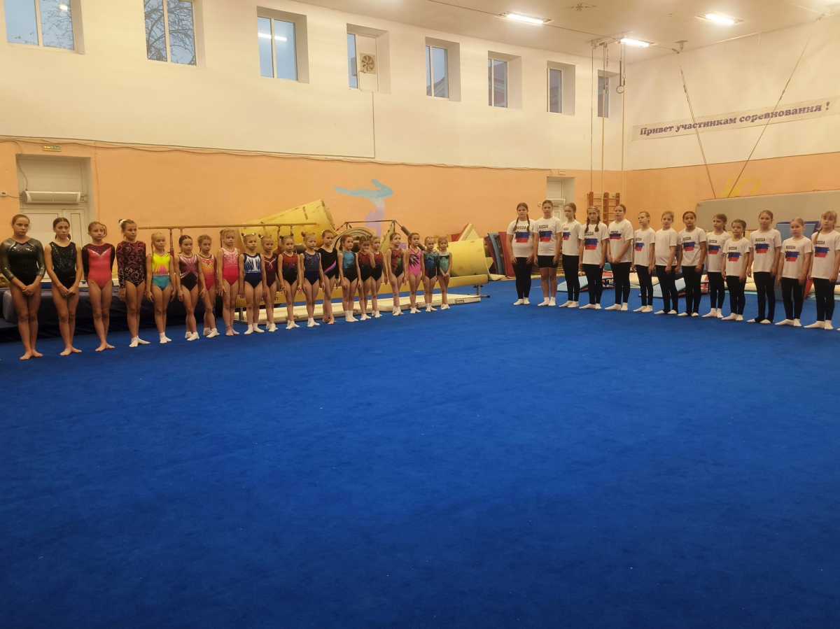 Сегодня в Старой Руссе гимнастикой занимаются более 100 человек в возрасте от 4 до 18 лет.
