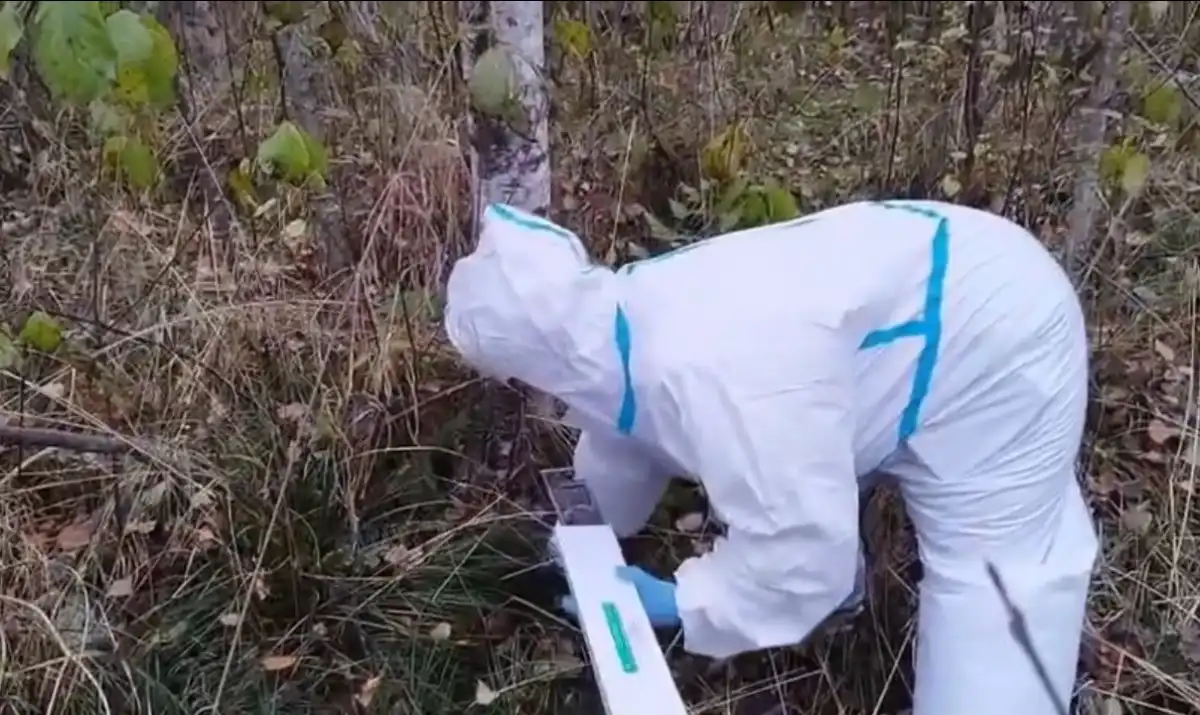 Бешенство – вирусное заболевание домашних и диких животных, протекающее с тяжелым поражением нервной системы, которое передается при укусах инфицированных животных.